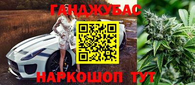 дмт Краснодар